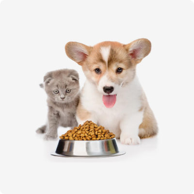 Зоомагазин