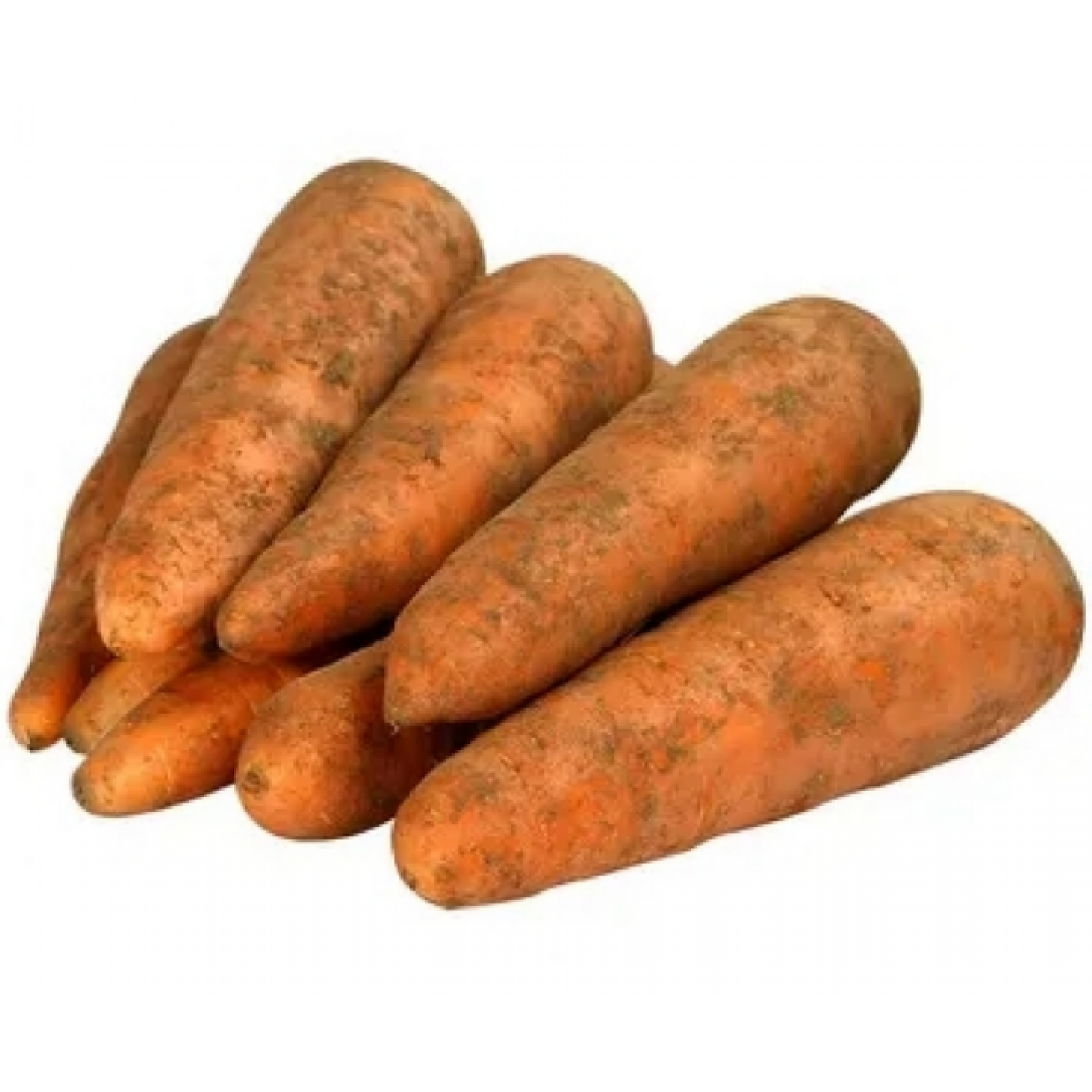 Морковь весовая (средний вес: 600 г)