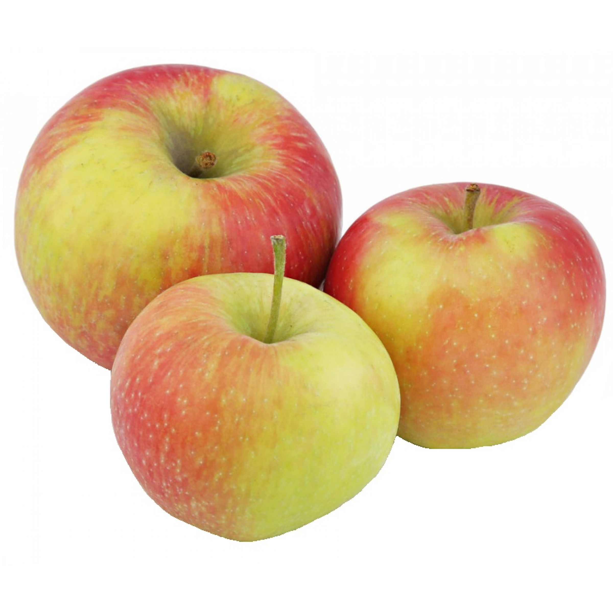 Сезонные яблоки весовые (средний вес: 1200 г)