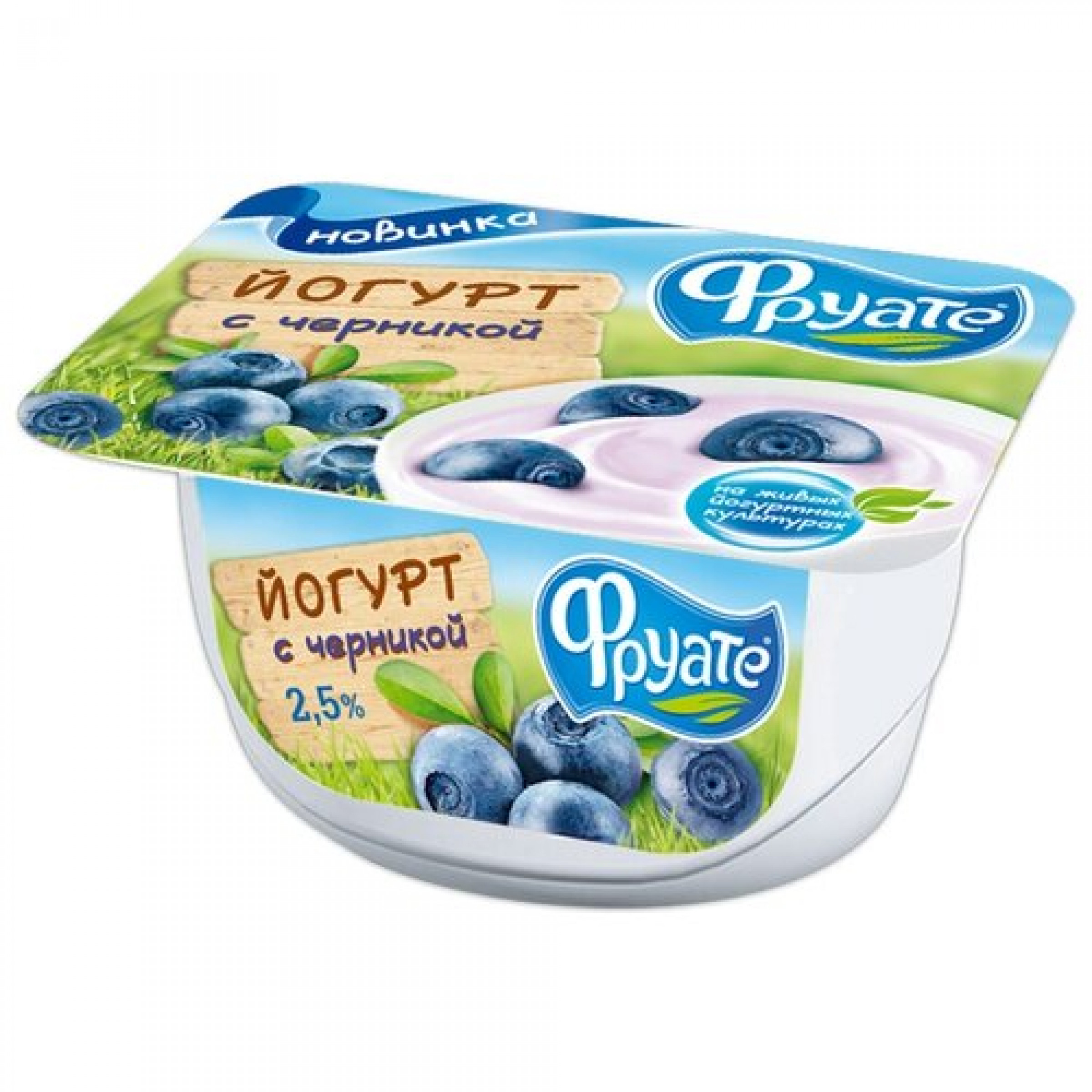 Густой йогурт Фруате с черникой 2,5%, 125 г