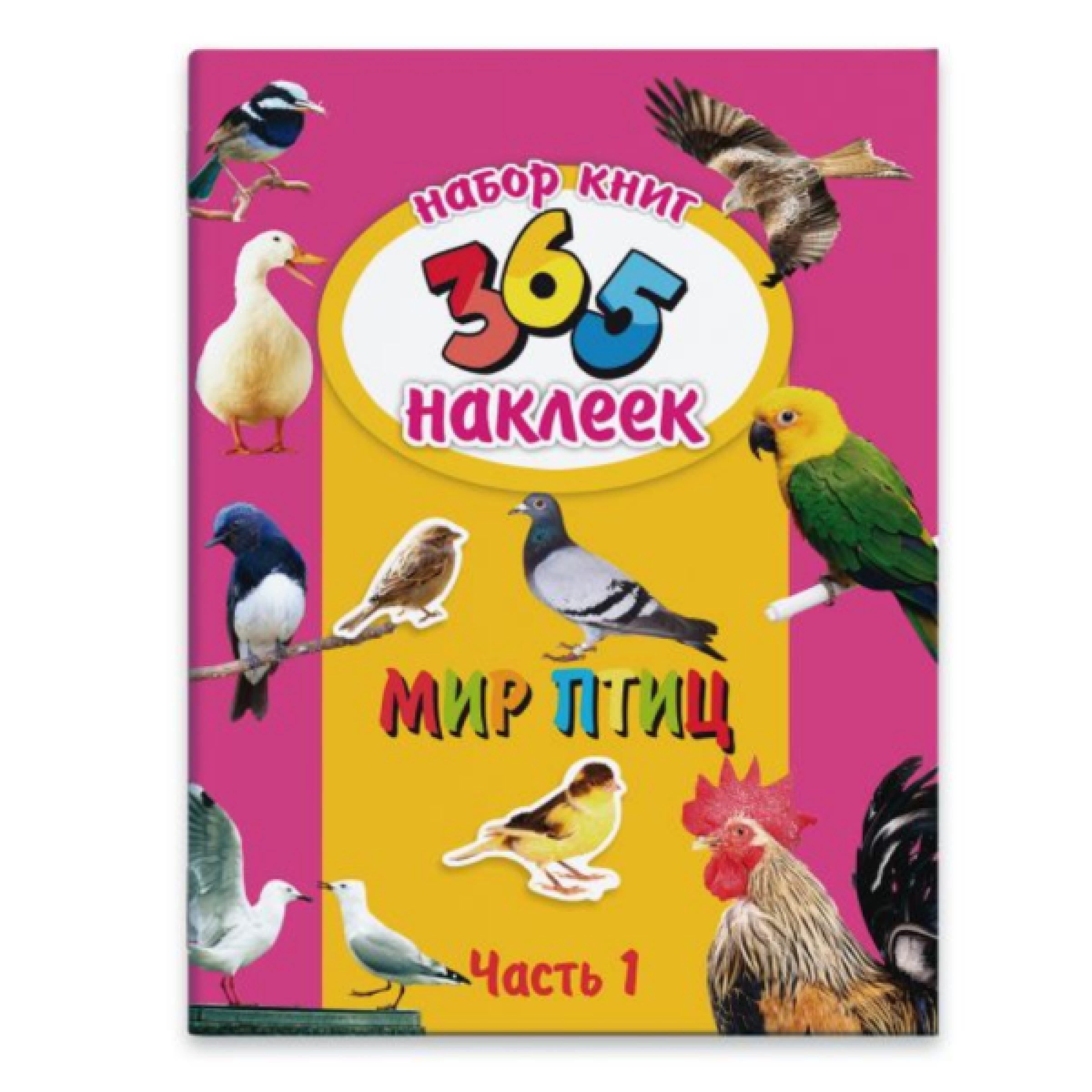 Набор из двух книг 365 наклеек + Мир птиц, 212х280 мм