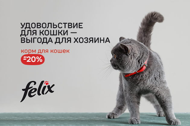 УДОВОЛЬСТВИЕ ДЛЯ КОШКИ -ВЫГОДА ДЛЯ ХОЗЯИНА Феликс до -20%