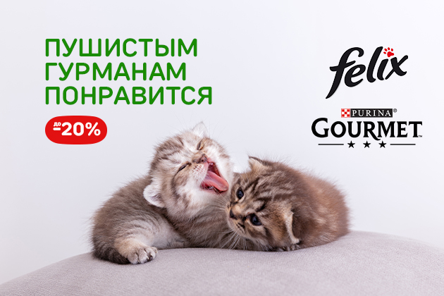 ПУШИСТЫМ ГУРМАНАМ ПОНРАВИТСЯ Гурмэ и Felix до -20%