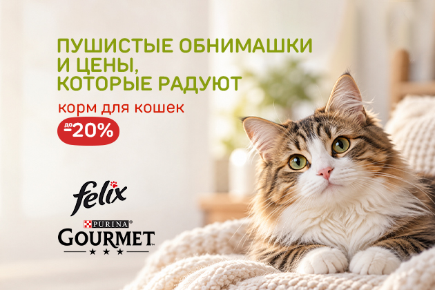 ПУШИСТЫЕ ОБНИМАШКИ И ЦЕНЫ, КОТОРЫЕ РАДУЮТ для кошек до -20%
