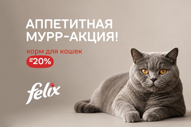 АППЕТИТНАЯ МУРР-АКЦИЯ! корм для кошек до -20%