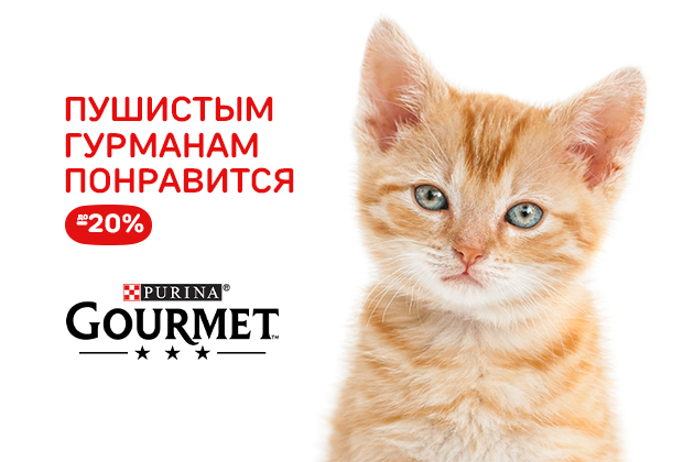 ПУШИСТЫМ ГУРМАНАМ ПОНРАВИТСЯ Гурмэ до -20%