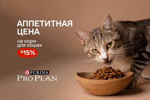 АППЕТИТНАЯ ЦЕНА на корм для кошек -15%