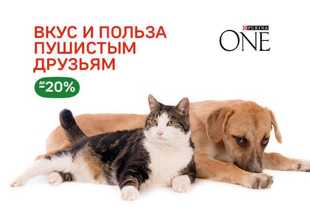 ВКУС И ПОЛЬЗА ПУШИСТЫМ ДРУЗЬЯМ PurinaOne до - 20%