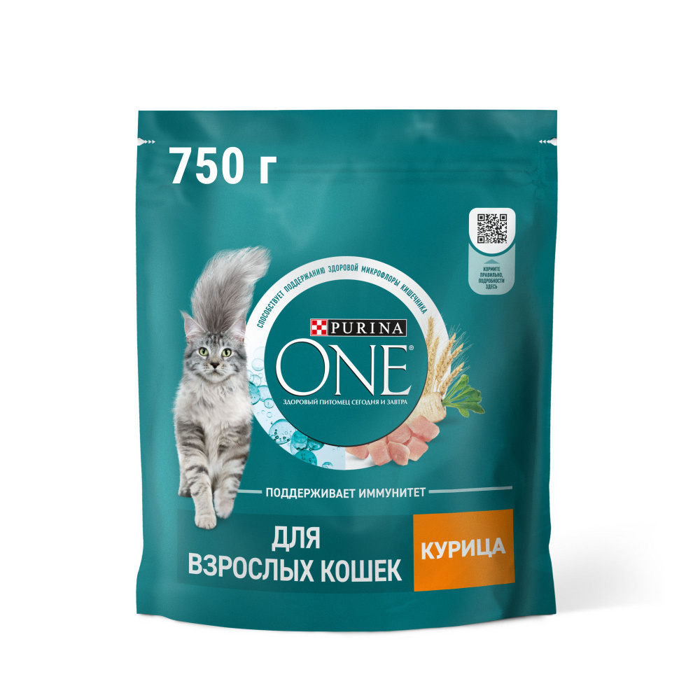 Сухой корм Purina One для взрослых кошек с курицей, 750 г - купить с  доставкой в Ростове-на-Дону - STORUM